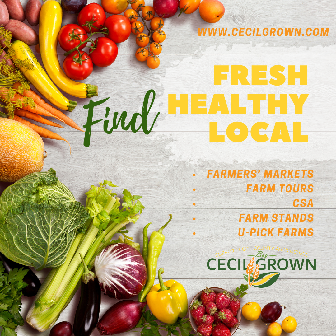 find local farms insta